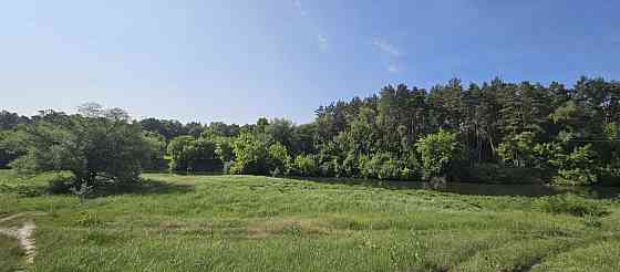 Продаж земельної ділянки 1.32 га на Левків Zhytomyr