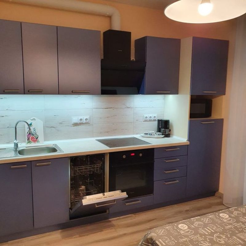 Оренда Квартира 1-кімнатна, 25/25 поверх на ул. Михаила Драгоманова, 10 Київ - фото 5