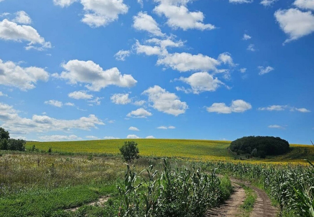 Продаж земельної ділянки 20 соток на улица Луговая, д.  - изображение 3