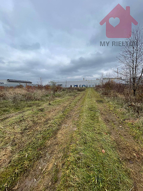 Продаж земельної ділянки 39 соток Розівка - фото 12