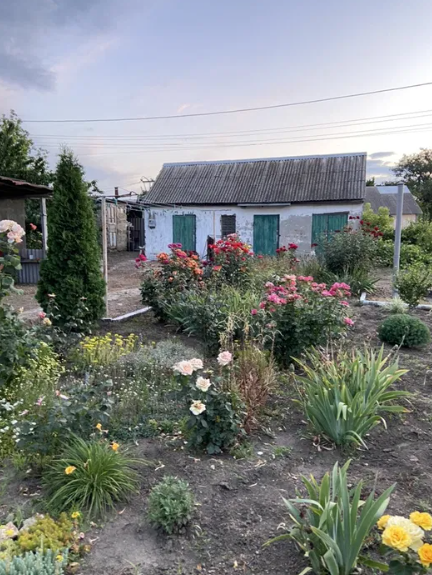 Продам дом с газом в с.Великодолинское (Овидиопольский р-н) Великодолинське - фото 11