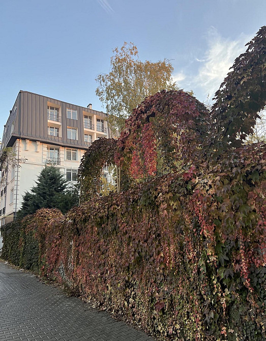 Продаж Квартира 1-кімнатна, 4/6 поверх на Литературная ул. Одеса - фото 2