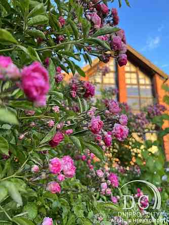 Продаж Будинок на вул. Мачтова Dnipro