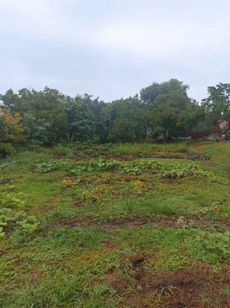 Продается Дом с участком 1,4 га, район Ст,Балашовка. Кропивницкий Кропивницький