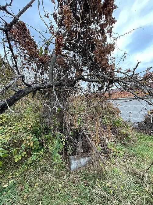 Продаж Будинок на Садова 100-а вул., 131 Київ - фото 11