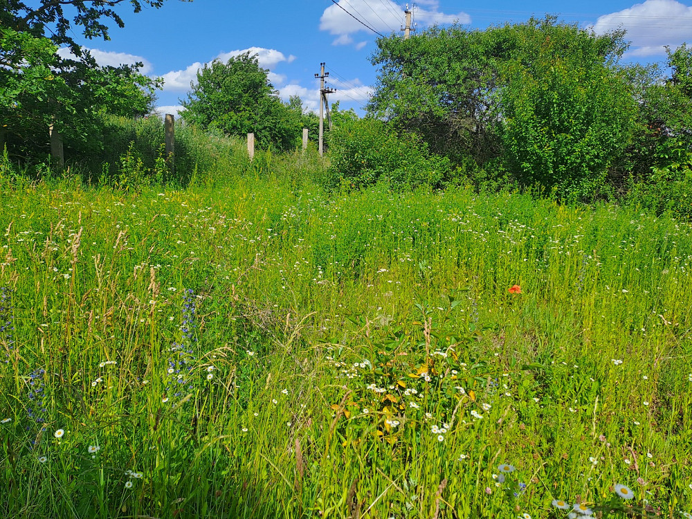 Продаж земельної ділянки 11 соток Pidhorodne - photo 11