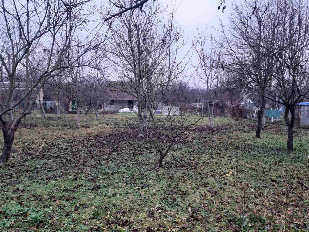 Продаж земельної ділянки 6 соток на садовое товарищество - Березка Бобровица - изображение 1