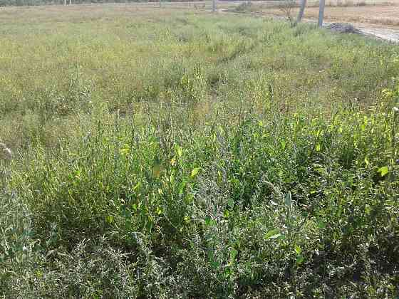 Продаж земельної ділянки 0.3 соток на ул. Массив ?, 33 Усатове