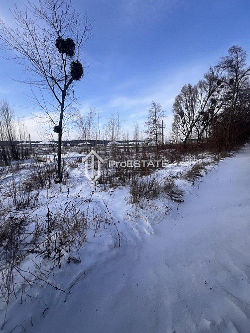 Продаж земельної ділянки 2 га Hnidyn - photo 14