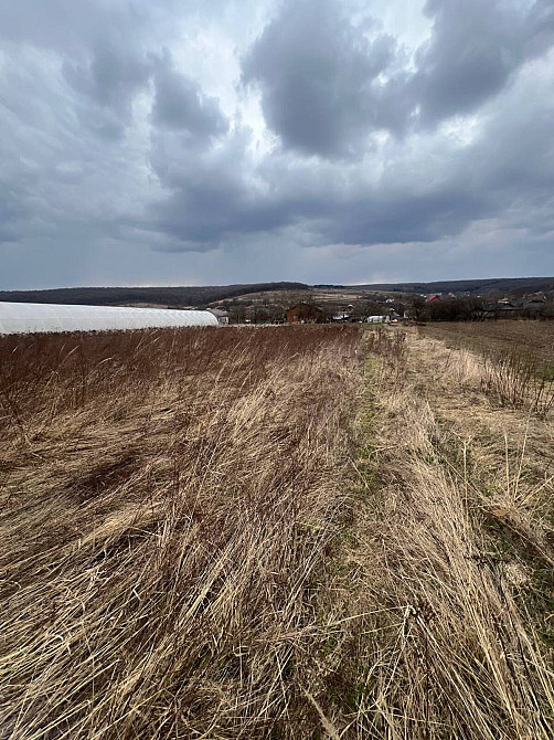 Продаж земельної ділянки 0.22 соток на Івасюка (Нова)  - фото 6