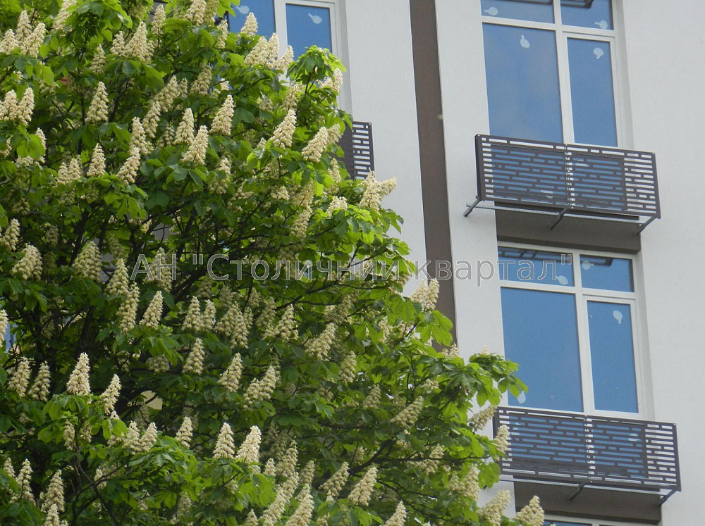 Продаж Будинок 2-кімнатний на вул. Заболотного Академіка Киев - изображение 4