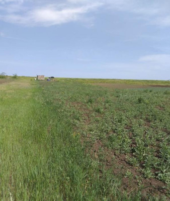 Продаж земельної ділянки 0.2 соток на ул. Шевченко, 257а Великий Дальник - фото 3