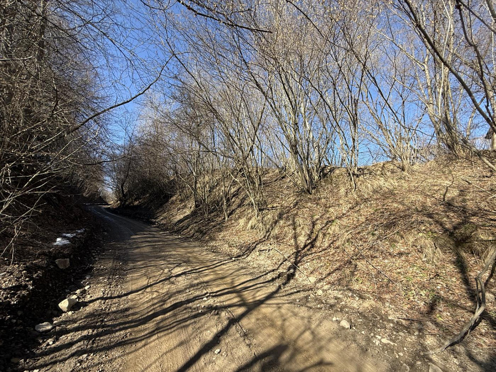 Продаж земельної ділянки 98 соток Verkhnie Synovydne - photo 11