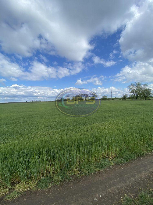 Продаж земельної ділянки 1.83 соток Новотроїцьке (Любашівський район) - фото 7