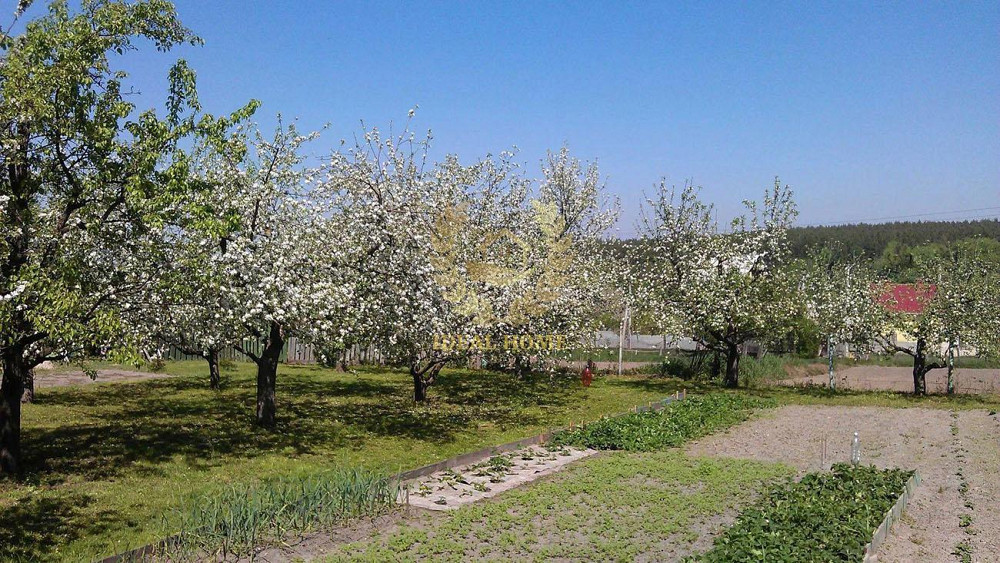 Продаж 3к будинку Кожухівка Васильківський район Кожухівка - фото 8