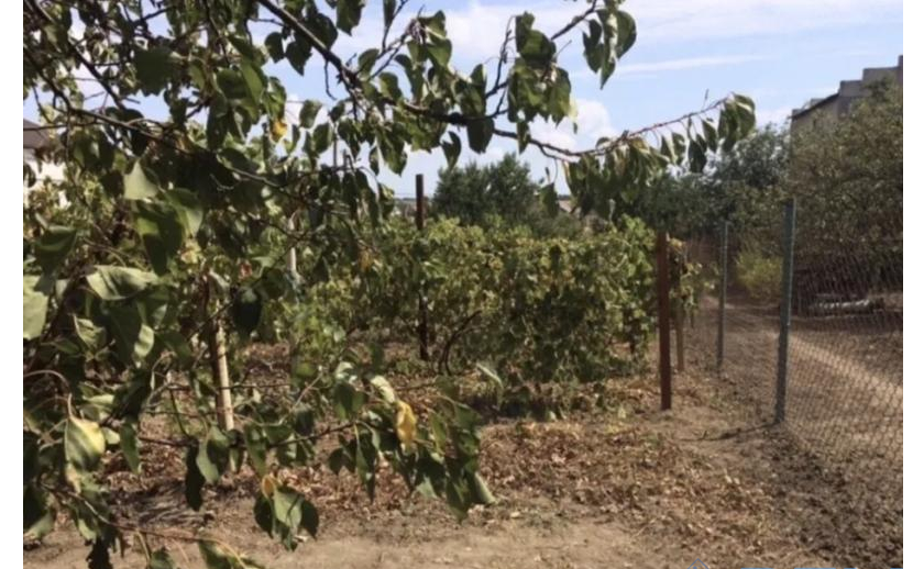 Продаж земельної ділянки 0.1 соток на ул. Авангард-2 кооп., 13 Сухий Лиман - изображение 1