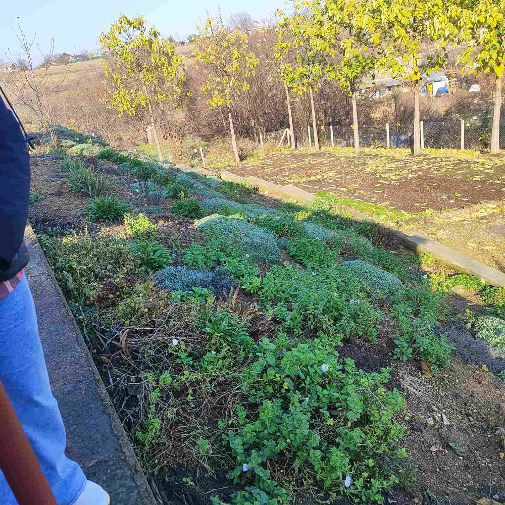 Продаётся дом в с. Нерубайском на две семьи. Нерубайське - фото 12