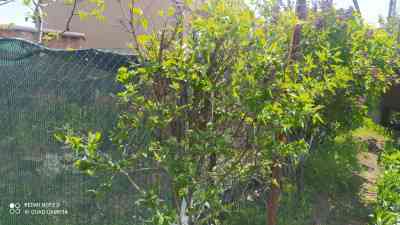 Продаж земельної ділянки 0.2 соток на ул. Центральная, 24 Усатове