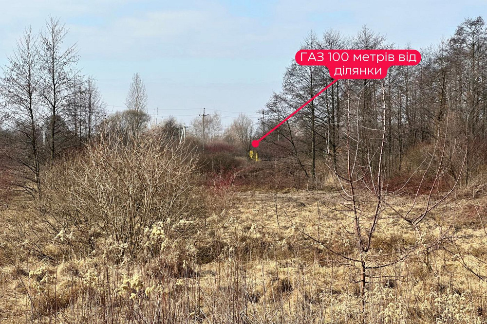 Продаж земельної ділянки 86 соток Солонка - фото 5