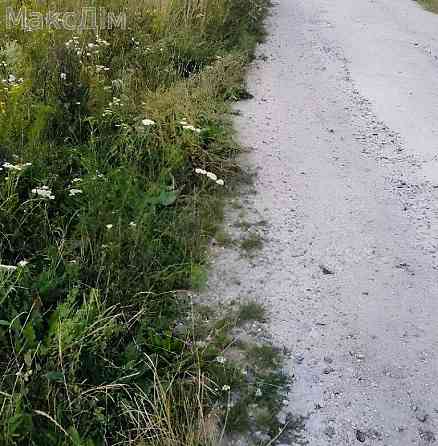 Продаж Будинок на вул. В'ячеслава Чорновола Baikivtsi