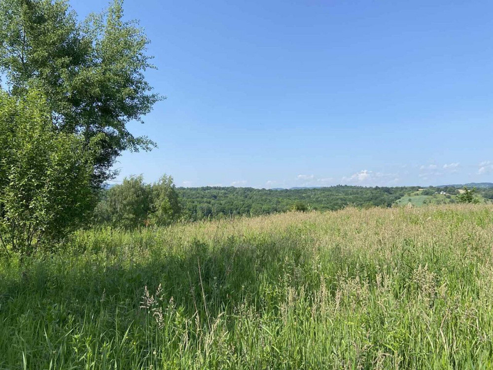 Продаж земельної ділянки 25 соток на Щорса Verbovets - photo 1