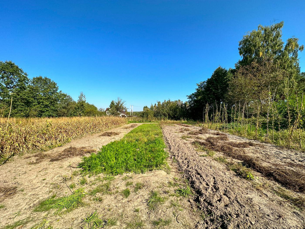 Продаж земельної ділянки 23 соток на вул. Лісова  - фото 12