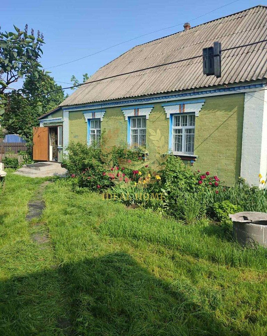 Продам будинок в Устимівці Ustymivka - photo 5