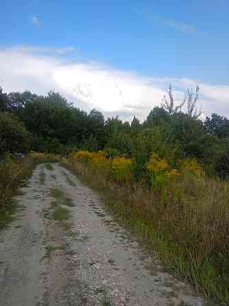 Продаж земельної ділянки 10 соток Pavlivka