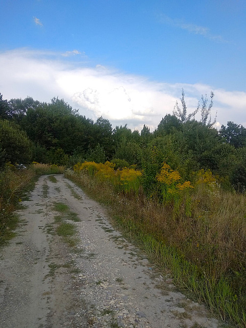 Продаж земельної ділянки 10 соток Pavlivka - photo 5