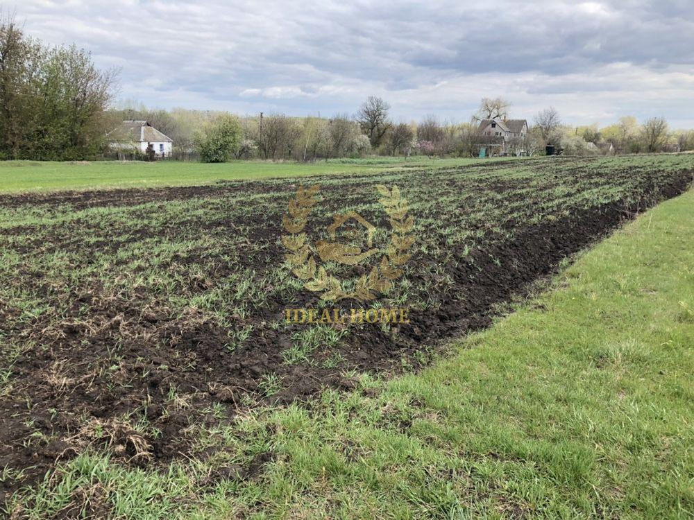 Продаж земельної ділянки 61 соток на Полевая ул., 3 Ustymivka - photo 12