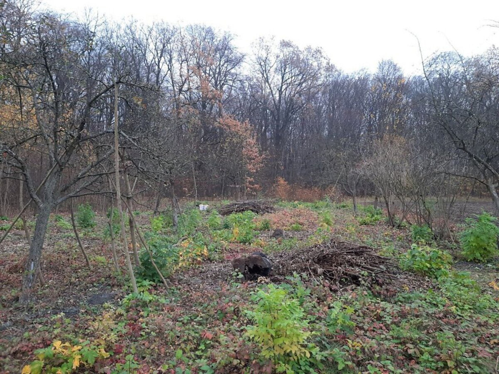 Продаж земельної ділянки 40 соток  - фото 10