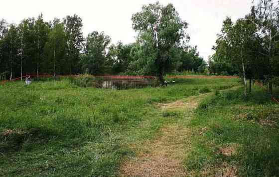 Продаж земельної ділянки 25 соток 