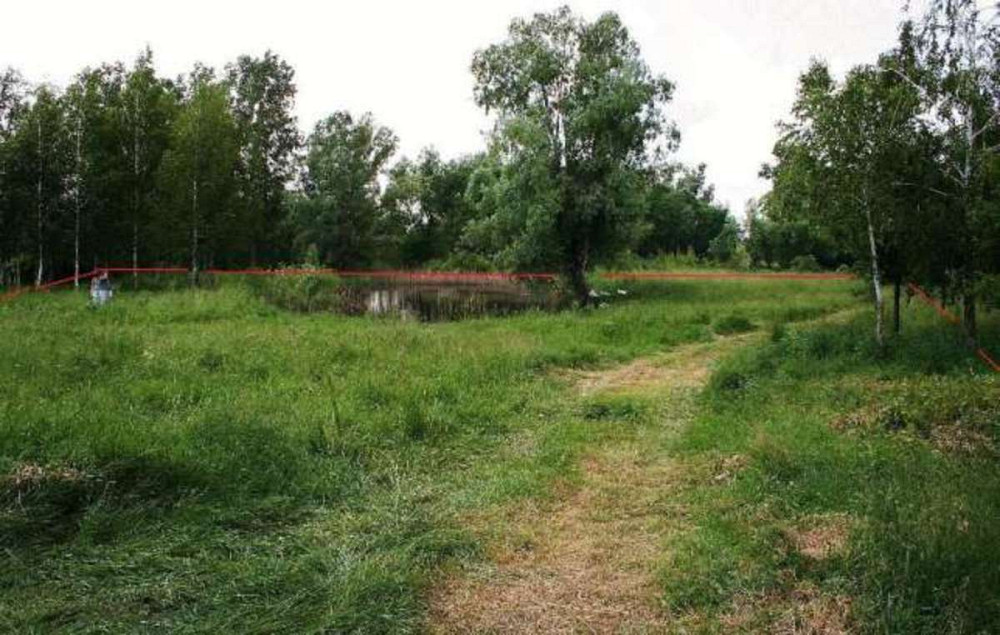 Продаж земельної ділянки 25 соток  - фото 3