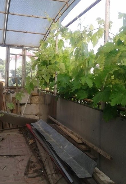 Дом на Чубаевке в районе Мегадома, 6 соток земли. Odessa - photo 3