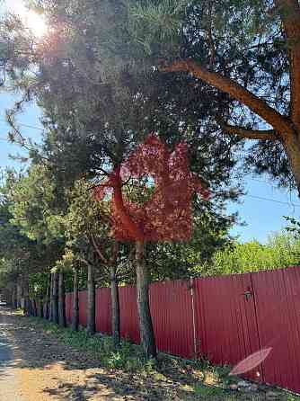 Продаж земельної ділянки 10 соток 