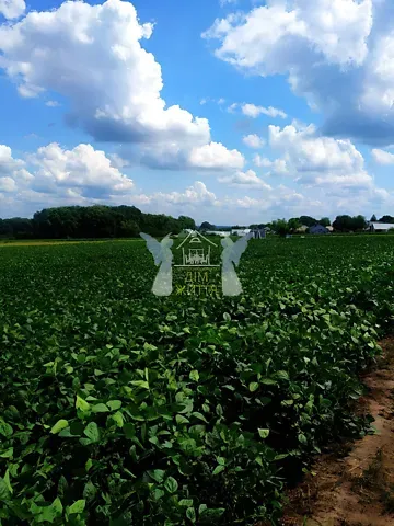 For sale land plot  area 63 ares Галицька бічна вулиця 1  - photo 8