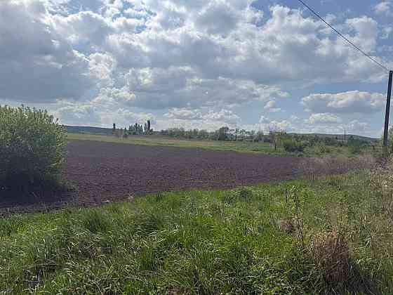 Продаж земельної ділянки 43.59 соток Чішки