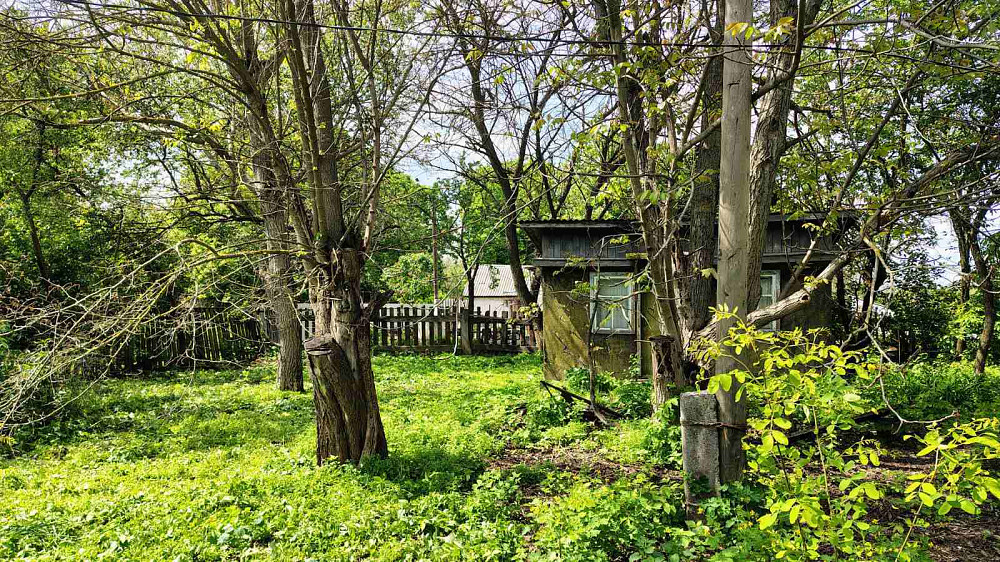 Продаж земельної ділянки 48 соток на Мічуріна  - фото 4