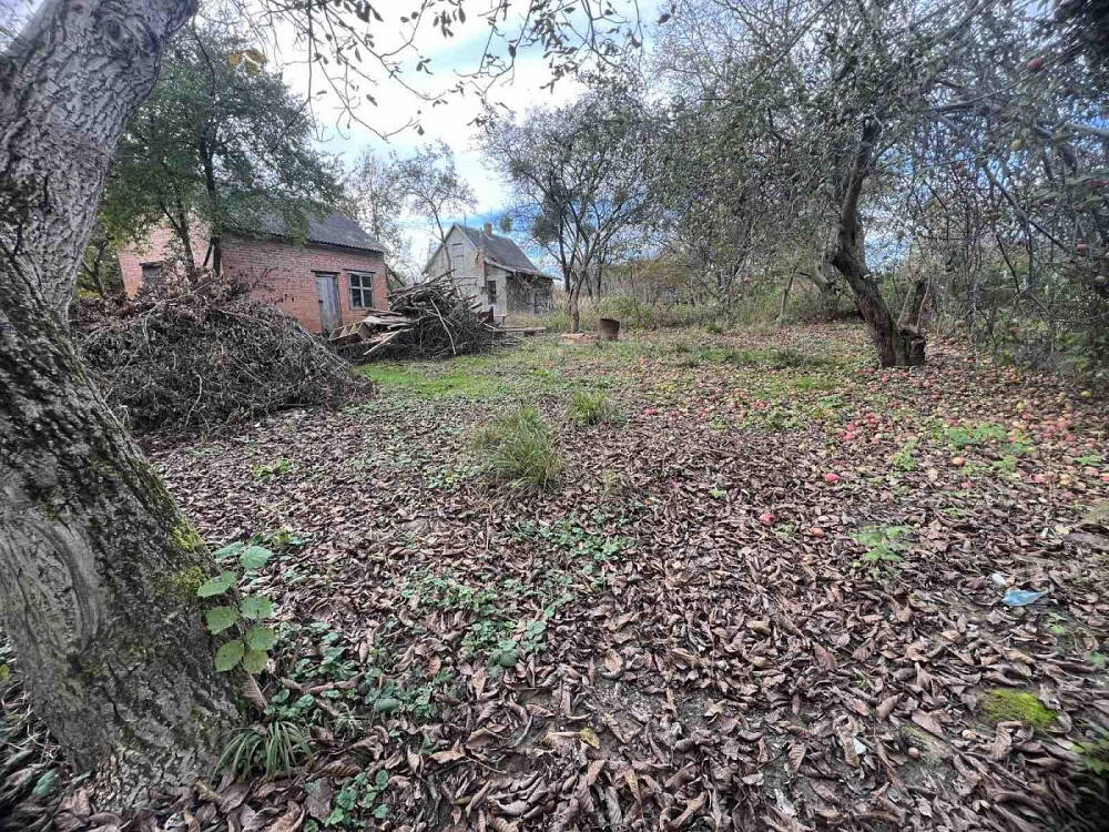 Продаж Квартира на улица Шашкевича Скнилів (Золочівський район) - фото 6