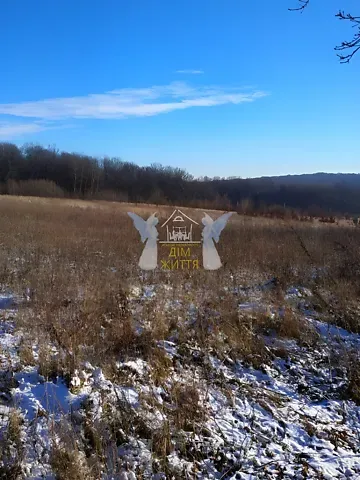 Продажа земельного участка  площадь 10 сот Вишнева вулиця 1  - изображение 11