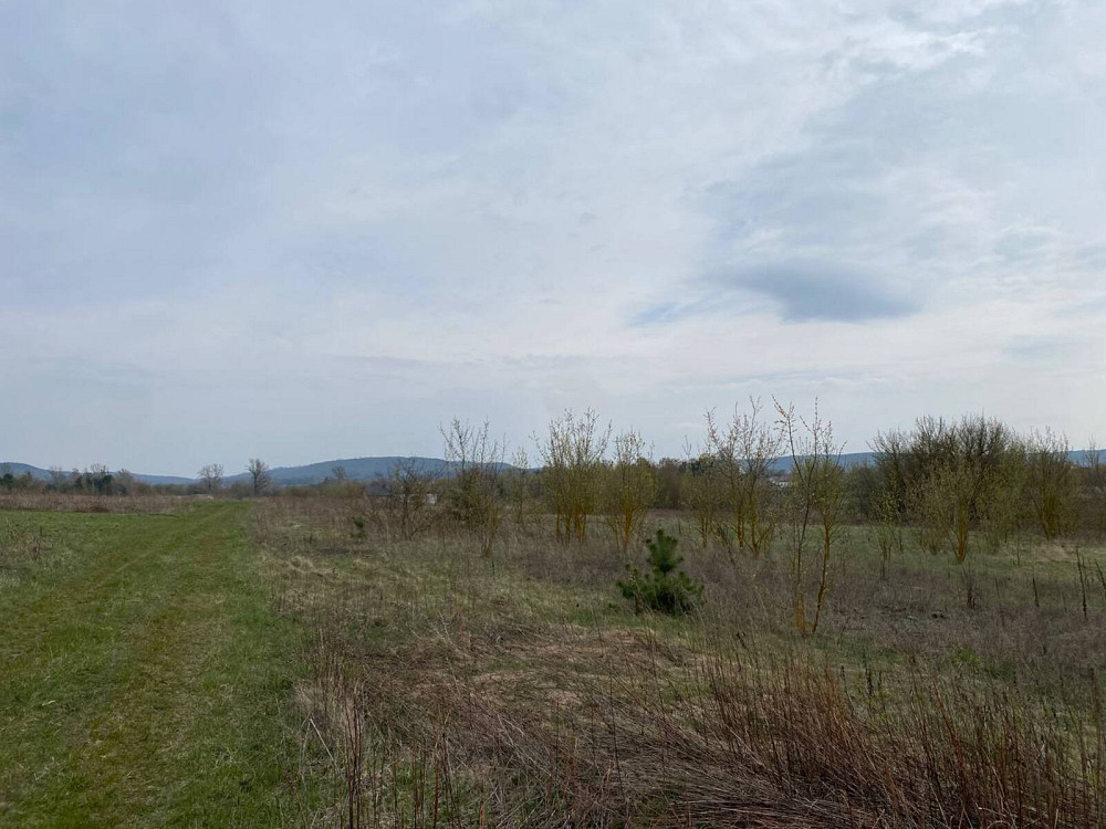 Продаж земельної ділянки 14 соток на мельника вячеслава  - изображение 12