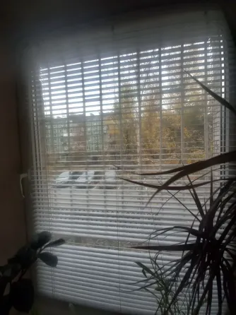 Здається Офісні приміщення площа 55 кв.м Дніпро Калнишевського Дніпро