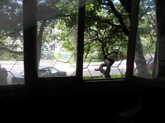 Оренда Квартира 1-кімнатна, 1/9 поверх на Бастионный пер. Kiev