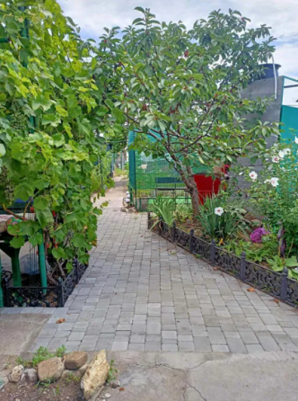 Продам курень на берегу моря в Одессе (р-н ул.Ярмарочная, 193 Причал) Одеса