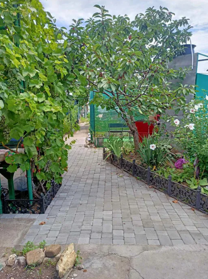 Продам курень на берегу моря в Одессе (р-н ул.Ярмарочная, 193 Причал) Одеса - фото 6