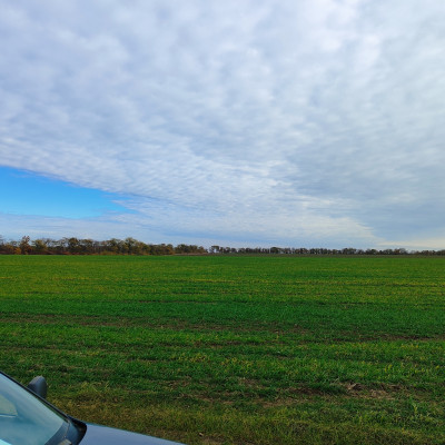 Продаж земельної ділянки 0 соток на ул. Массив 36, 6 Августівка - фото 11