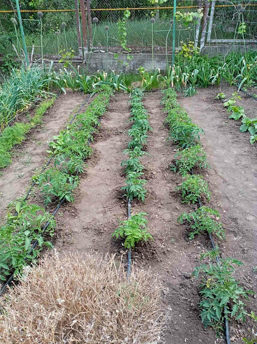 Продам ухоженный дом в Прилиманском Прилиманське - фото 13