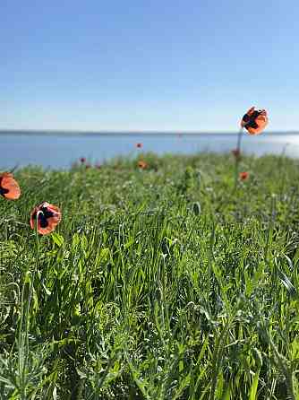 Продам недостроенный дом 100 м², участок 10 соток, Холодная Балка Холодна Балка