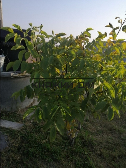 Продаж 2-поверховий Будинок з ділянкою 10 сот 166 кв.м    - фото 13