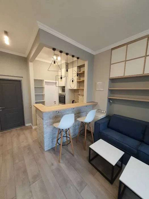 Оренда Квартира, 17/24 поверх Київ - фото 1